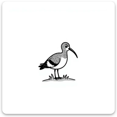 Curlew sticker