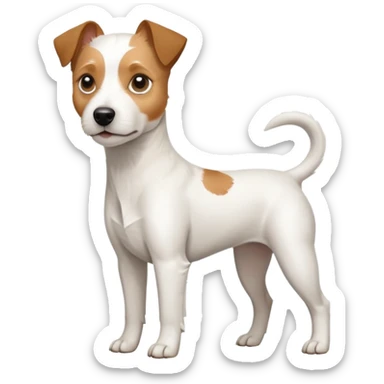 a full body white parson russell looking dog the size of a kelpie with light brown ears and a light brown patch on one eye and a large snout sticker