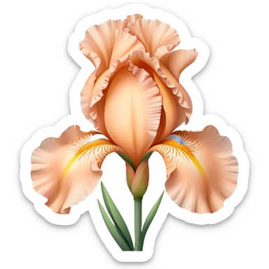 single Peach Iris, straight stem sticker