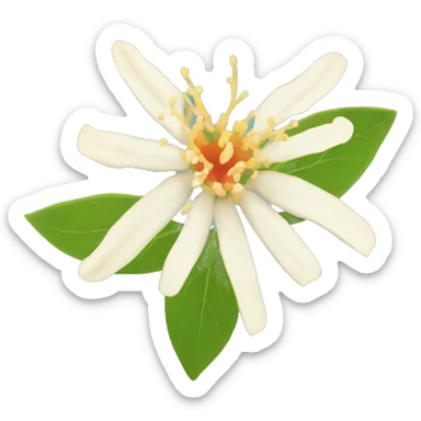 ashwagandha flower sticker