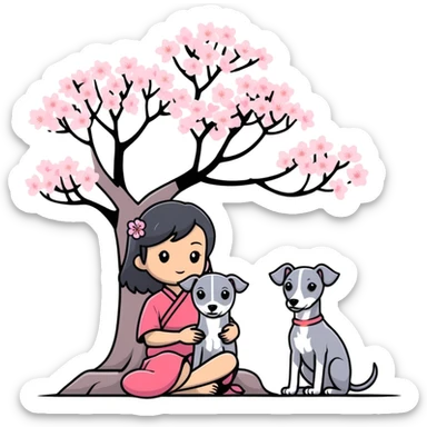 A young Chinese girl with long black hair and a pure grey Italian Greyhound with no white markings sitting under a cherry blossom tree sticker