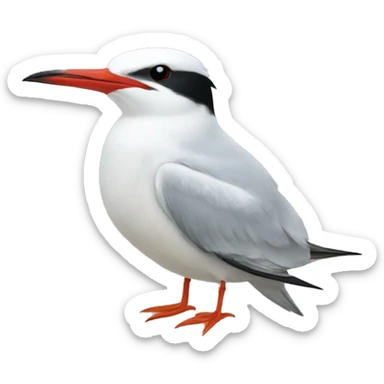 Common tern  sticker