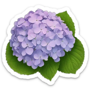 hydrangea sticker