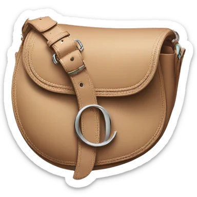 dior saddle bag sticker