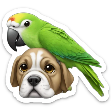 a green Parakeet sitting on a bulldog's head sticker