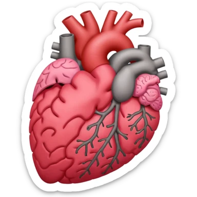 Heart Liver Brain Lung en 4 ka muja eik sath image bana kar dho sticker