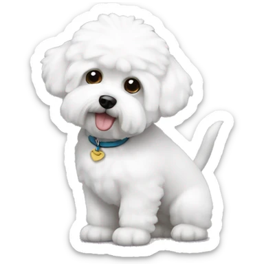 Bichon frise sticker