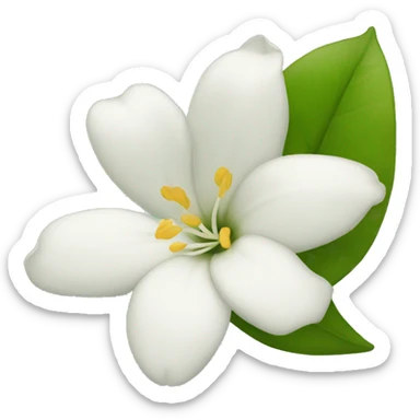 Night Jasmine flower sticker