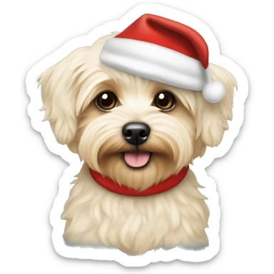 Cream colored Yorkipoo with Santa hat sticker