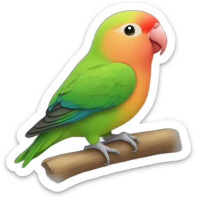 Peach faced Lovebird sticker
