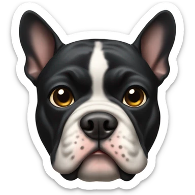 black french bull dog  sticker
