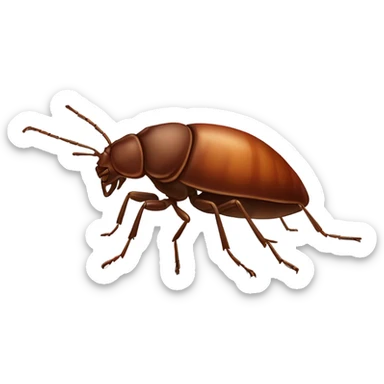 Bedbug sticker