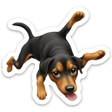 dog doing a backflip sticker