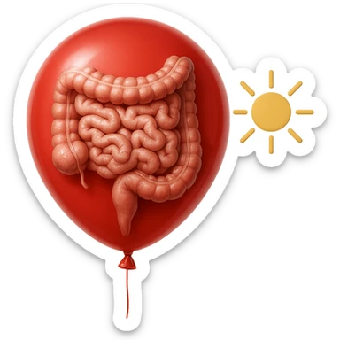 intestino umano anatomico chiuso in un palloncino rosso che simboleggia gonfiore, accanto un simbolo di sole che simboleggia "gonfiori di mattina", iperrealistico 4k sticker