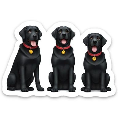 2 happy adult black labradors, one has a red collar, one has a light blue collar,side by side. sticker