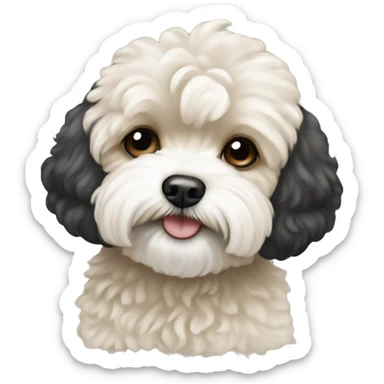 Black white and beige maltipoo sticker
