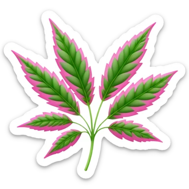 Pink weed sticker