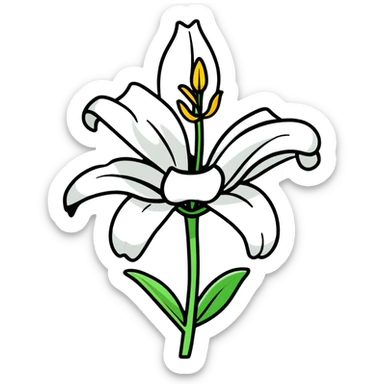 pure white lily flower in bloom sticker