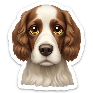 Spaniel russian sticker