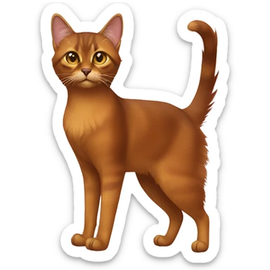 Somali Cat Full Body sticker