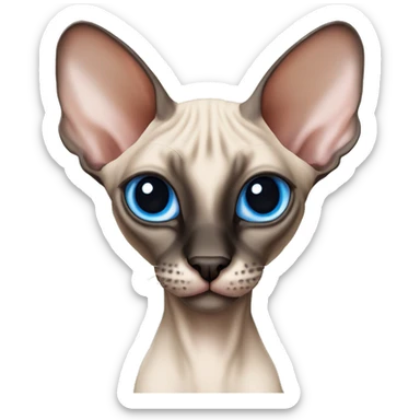 Siamese Sphynx Peterbald  cat with blue eyes, head , black nose ears and tail sticker