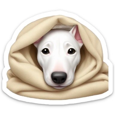 Bull terrier lying down cozy in blanket  sticker