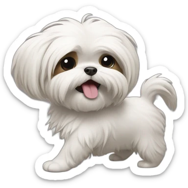 Shitzu qui danse sticker