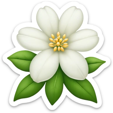 Jasmin flower sticker