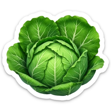 cabbage leaf   sticker