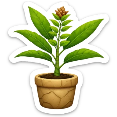 ginger plant sticker