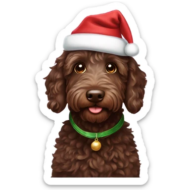 Chocolate Labradoodle wearing a Christmas hat sticker