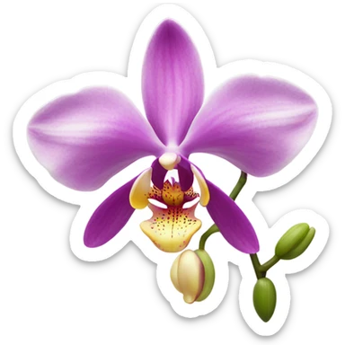 Orchid flower sticker