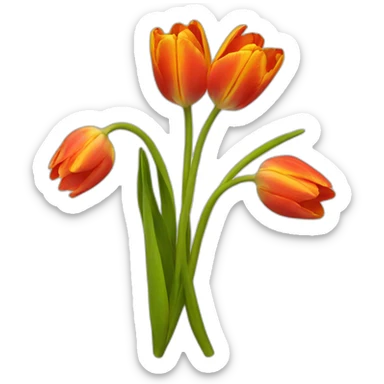 tulipan sticker