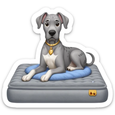 Gray Great Dane on king size mattress floppy ears sticker