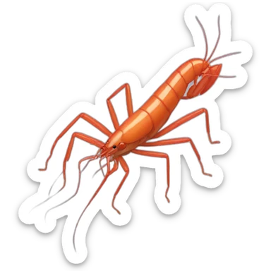 Crevette  sticker
