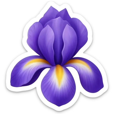 Iris sticker