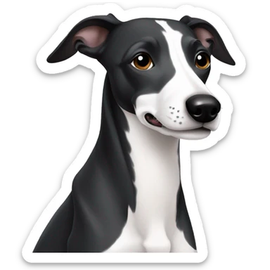 black and white whippet one white ear sticker