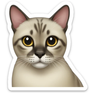 Seal Point Siam cat sticker