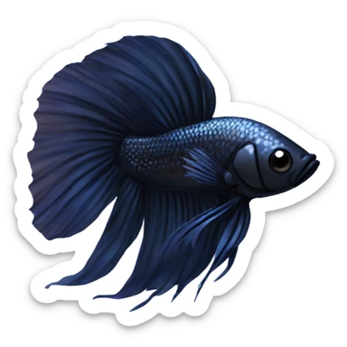 Black betta fish short fins sticker