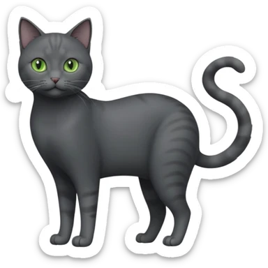 full body view of beautiful female solid dark grey cat with green eyes, grey face, white toes/paws and small white patch on her chest sticker