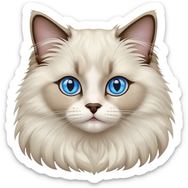 呢啲with No a Ragdoll cat sticker