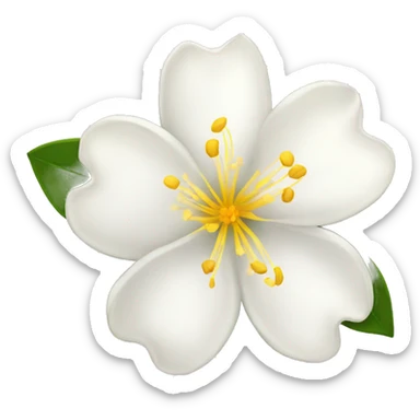  Jasmine flower with white petals and a yellow center of golden stamens. sticker