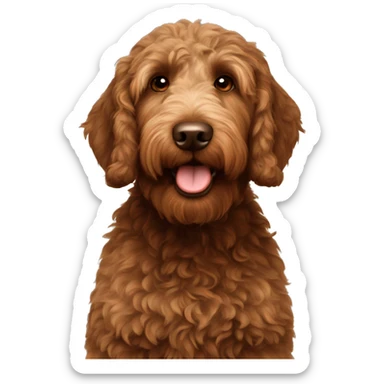 Brown labradoodle named Duke sticker