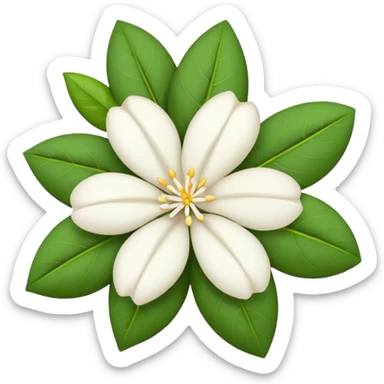 dry indian jasmine flower without leaf in emoji format  sticker