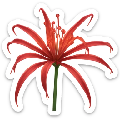 Glowing Red Spider Lily sticker