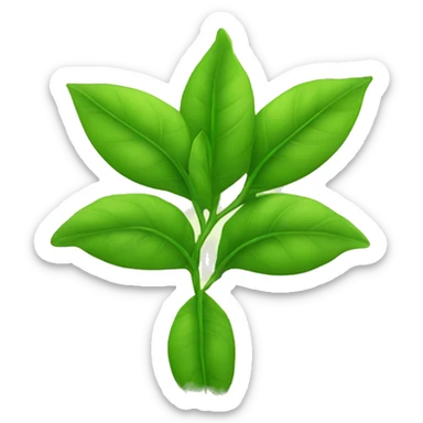 GREEN TEA LEAVES sticker