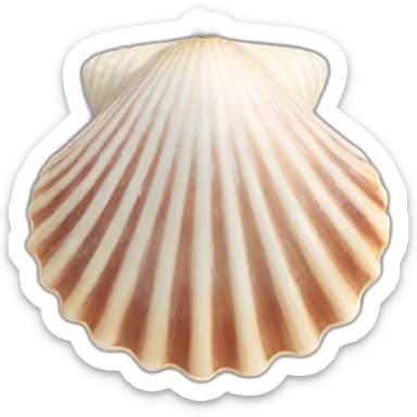 seashells necklace sticker