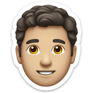 Young man with dark brown hair, fair skin accountant sticker