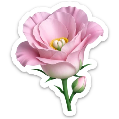 Beautiful light pink flower Eustoma sticker