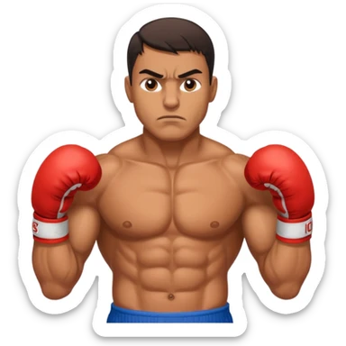 Gypsy BOXER sticker